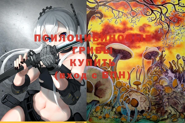 ALPHA-PVP Алексеевка