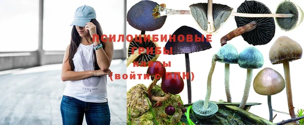 мяу мяу кристалл Алексин
